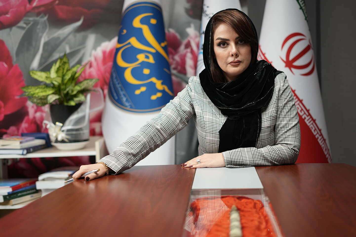 Simin Haghshenas : First Instance Attorney, Expert Legal Counsel with Over 19 Years of Experience